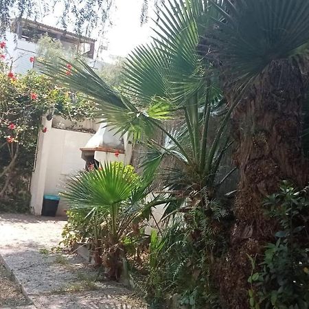 Apartamento - Jardin En Playa San Sebastian Sitges Dış mekan fotoğraf