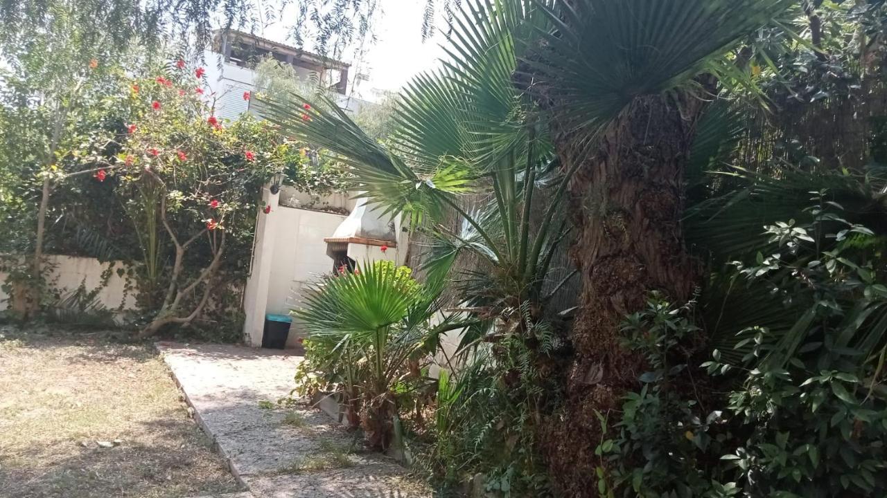 Apartamento - Jardin En Playa San Sebastian Sitges Dış mekan fotoğraf